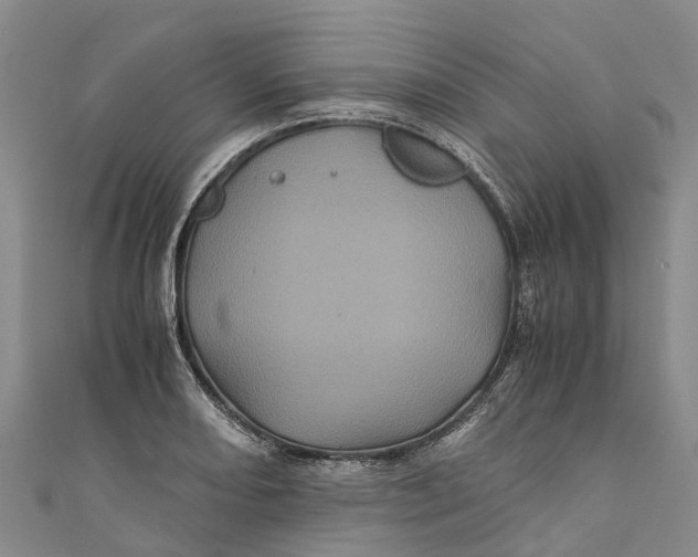 X0000110991082200907101426