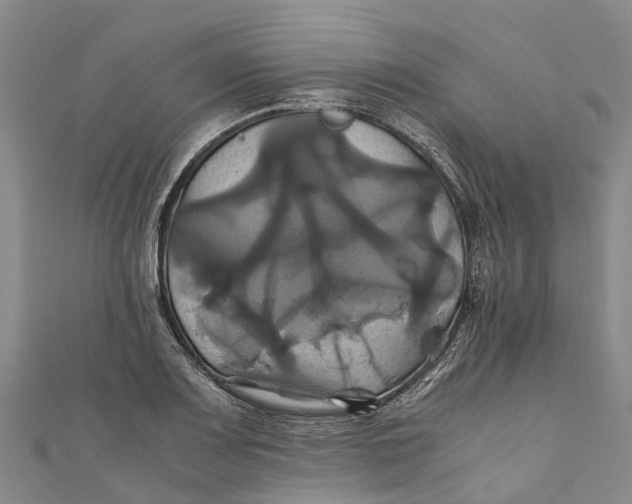 X0000110991083200907101426
