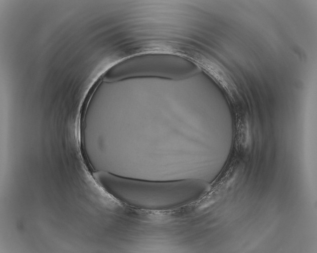 X0000110991084200907101426