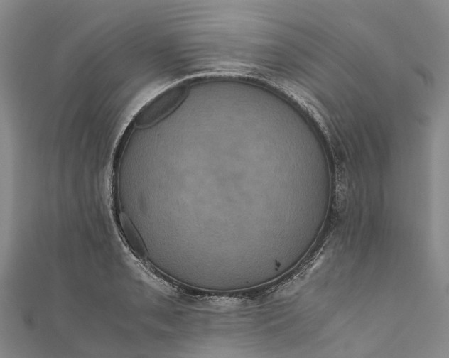 X0000110991085200907101426
