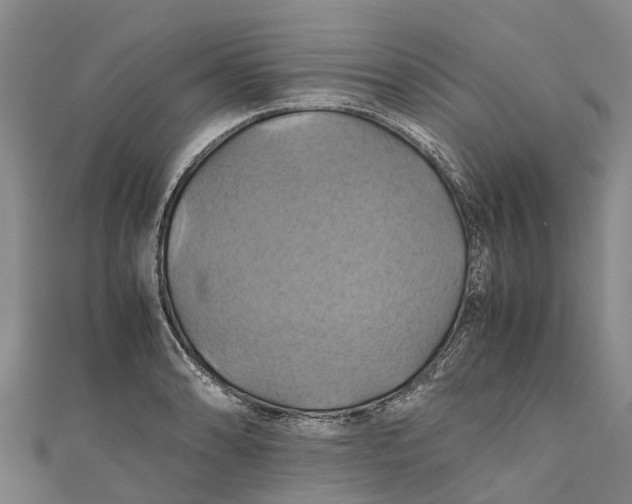 X0000110991086200907101426
