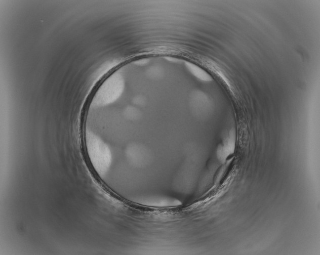 X0000110991087200907101426
