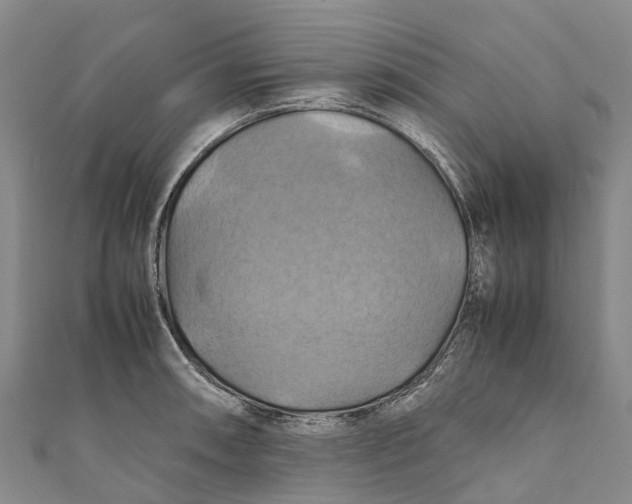 X0000110991090200907101426