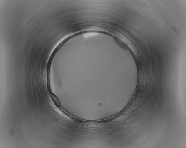 X0000110991092200907101426