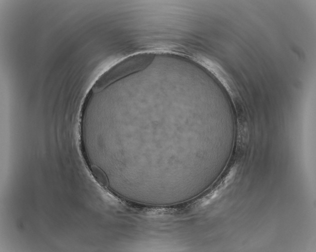 X0000110991093200907101426