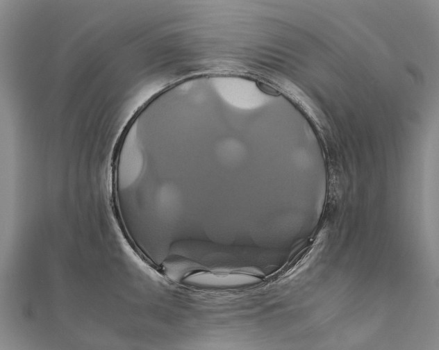 X0000110991095200907101426