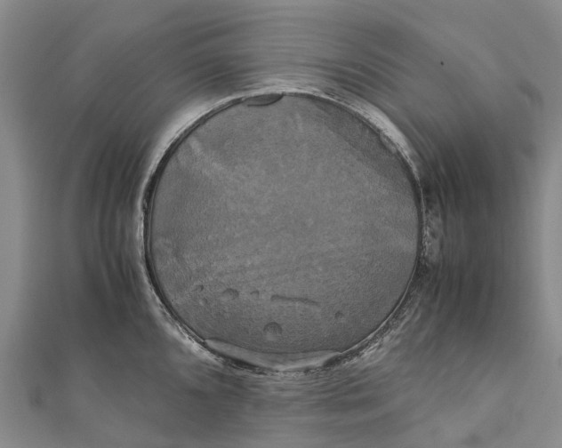 X0000110991096200907101426