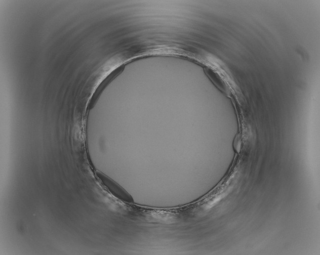 X0000110991097200907101426