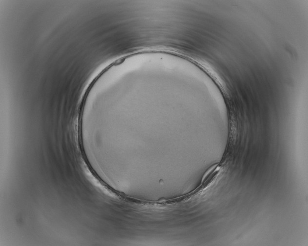 X0000110991100200907101426