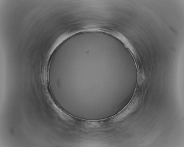 X0000110991101200907101426