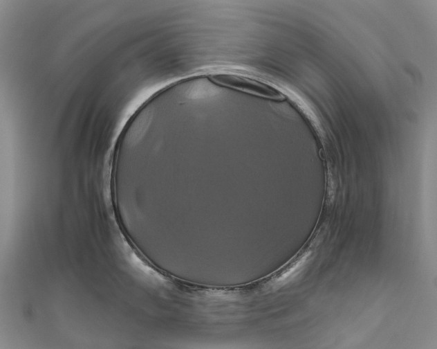 X0000110991102200907101426
