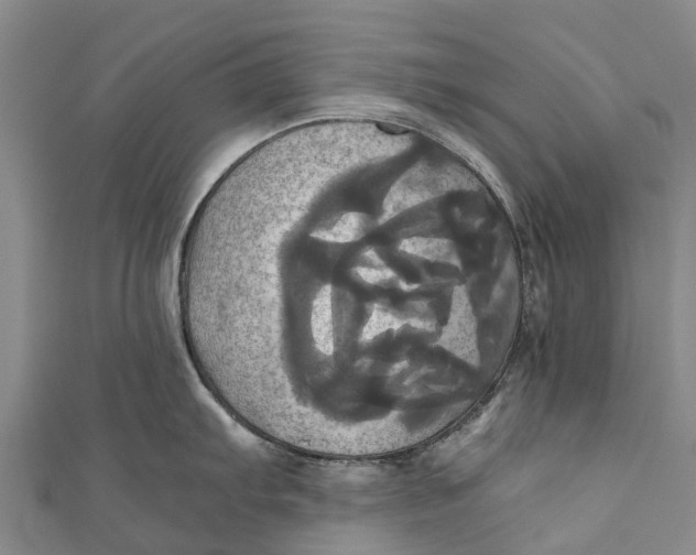 X0000110991103200907101426