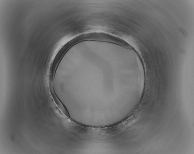 X0000110991104200907101426