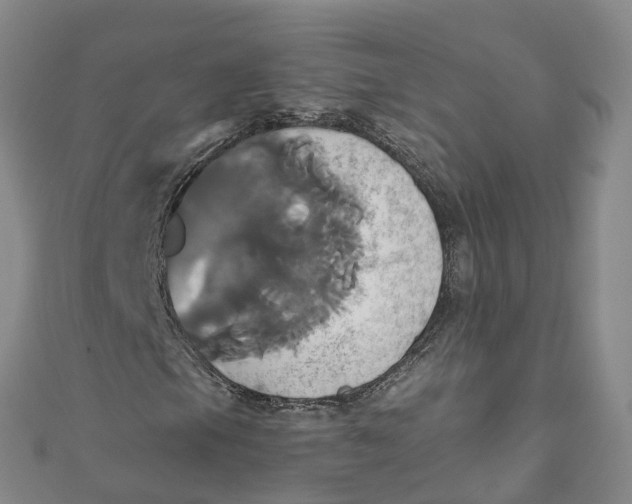 X0000110991105200907101425