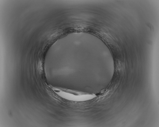 X0000110991106200907101425