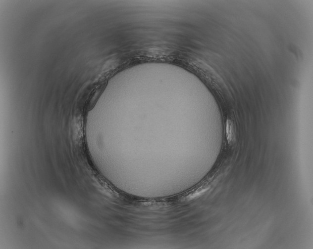 X0000110991107200907101425