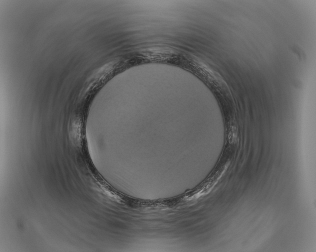 X0000110991108200907101425