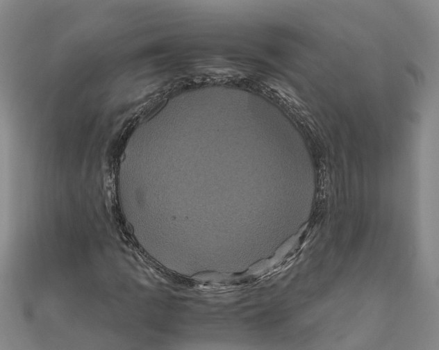 X0000110991109200907101425