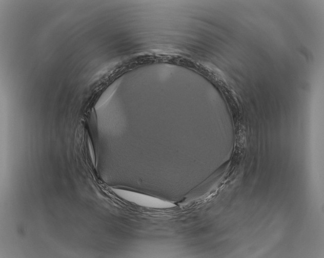 X0000110991110200907101425