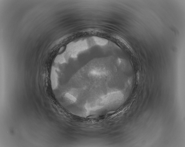 X0000110991111200907101425