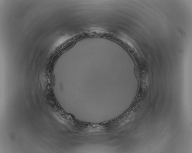 X0000110991112200907101425