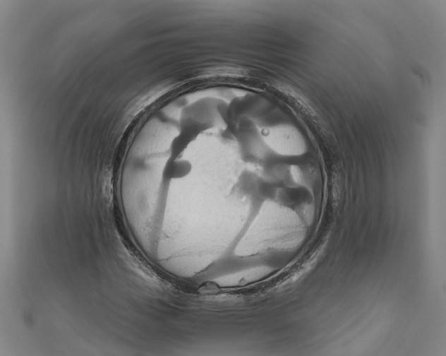 X0000110991113200907101425