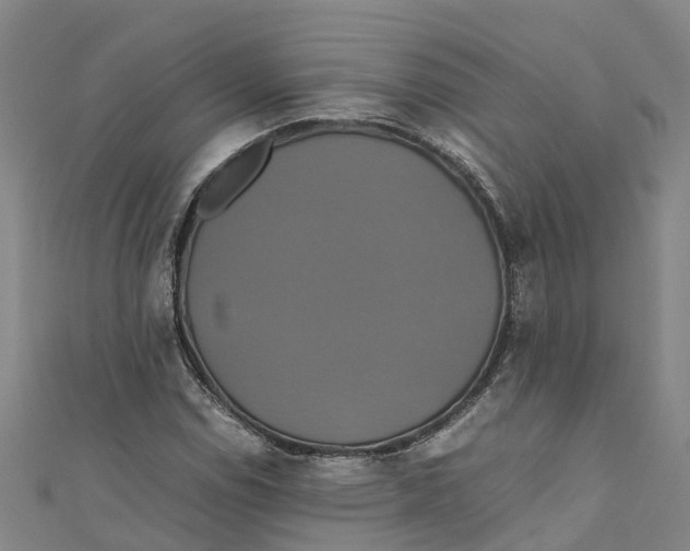 X0000110991114200907101425
