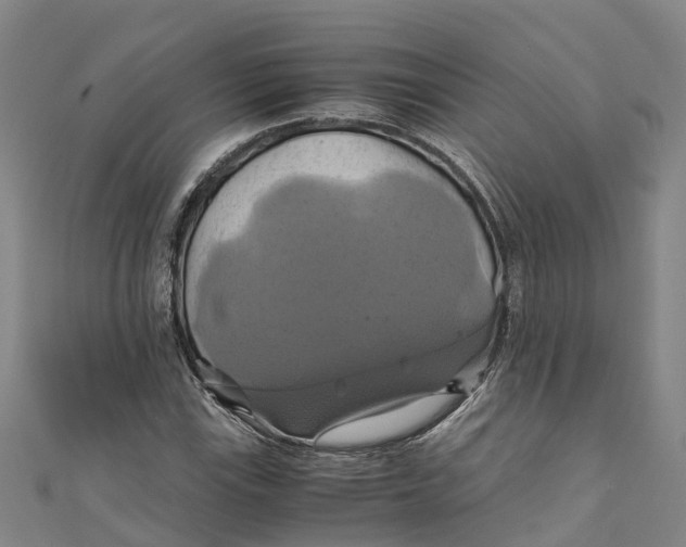 X0000110991115200907101425