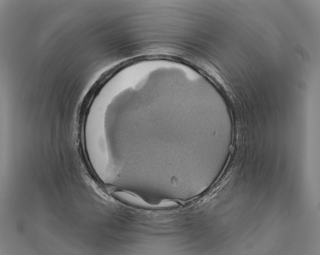X0000110991116200907101425