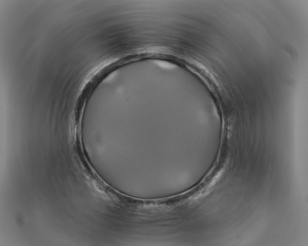 X0000110991117200907101425