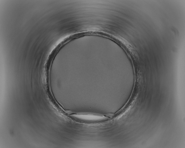 X0000110991118200907101425