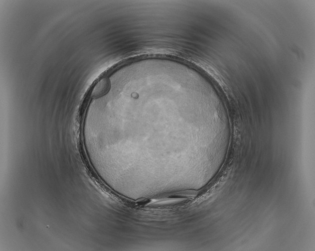 X0000110991119200907101425