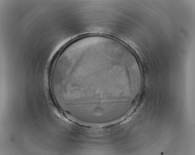 X0000110991120200907101425