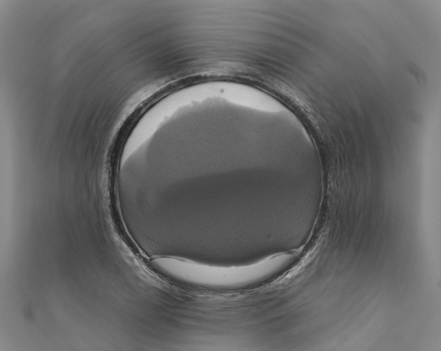 X0000110991122200907101425