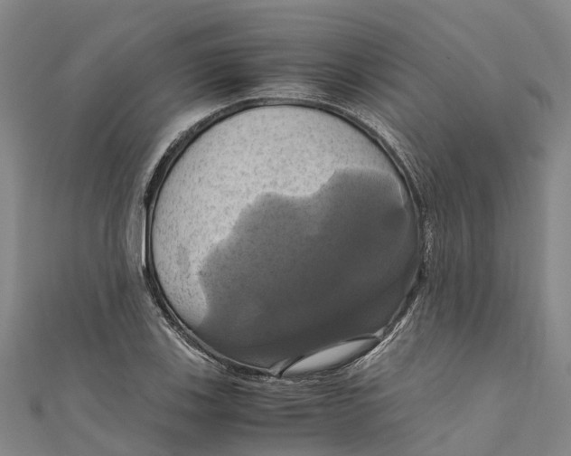 X0000110991123200907101425