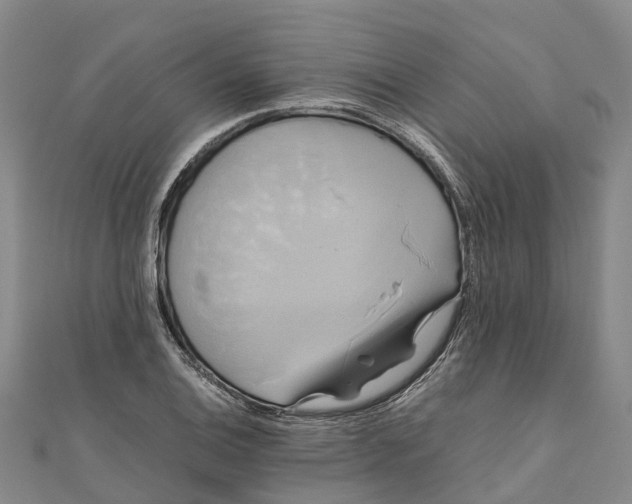 X0000110991124200907101425