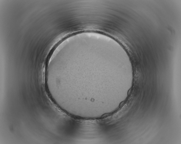 X0000110991126200907101425