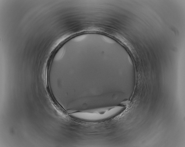 X0000110991127200907101425