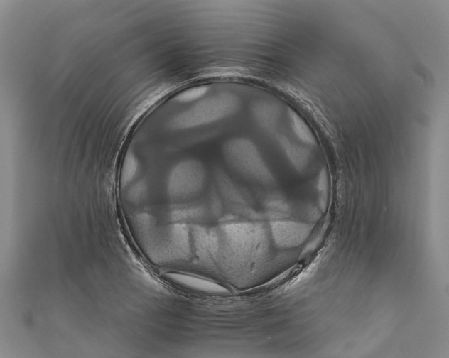 X0000110991129200907101425