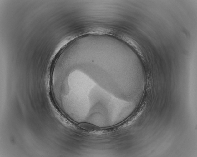 X0000110991130200907101425
