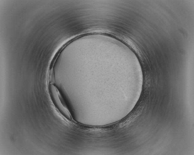 X0000110991132200907101425