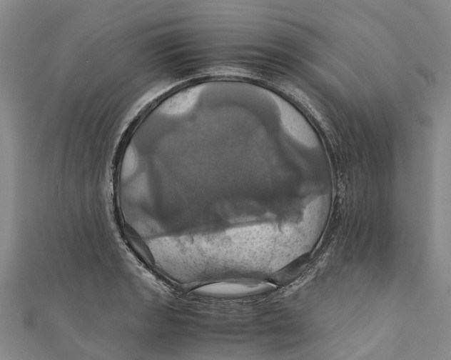 X0000110991133200907101425
