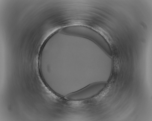 X0000110991134200907101425