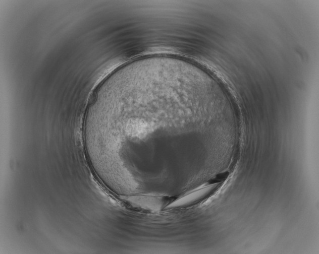 X0000110991137200907101425