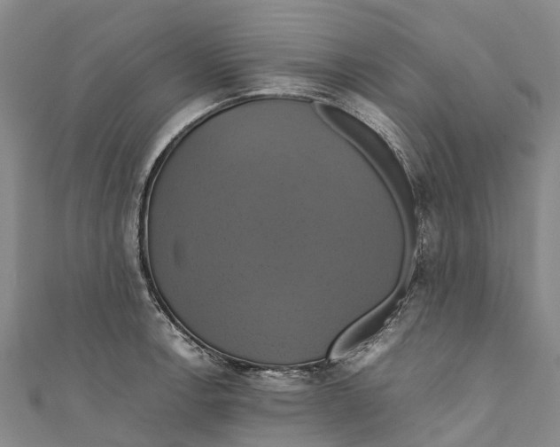 X0000110991138200907101425