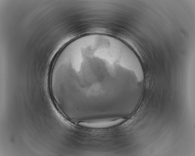X0000110991139200907101425