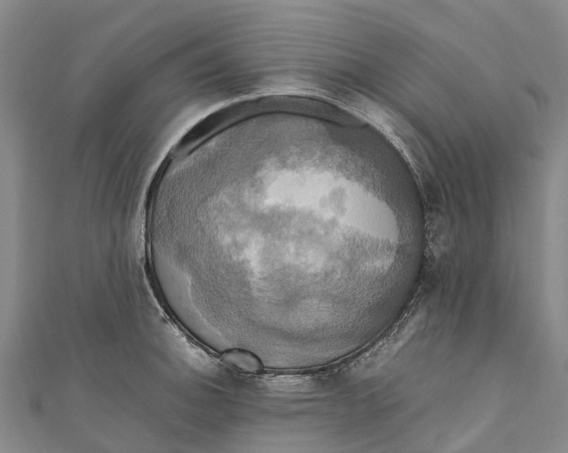 X0000110991140200907101425