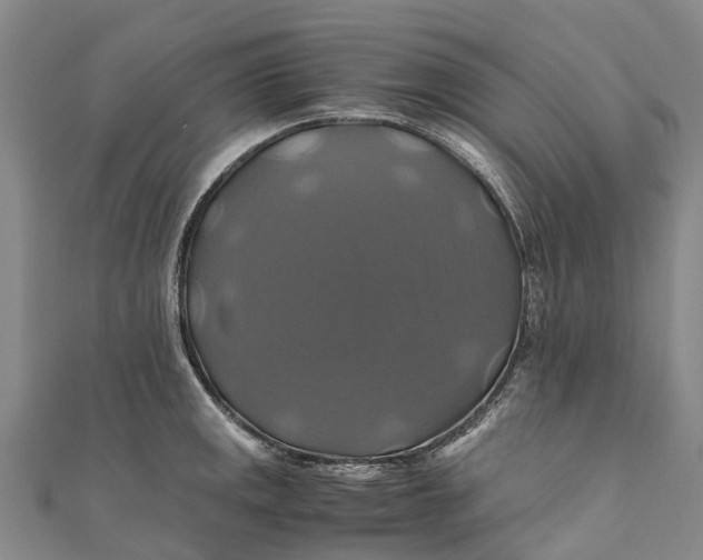 X0000110991141200907101425