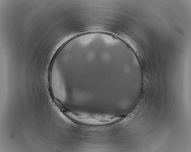 X0000110991142200907101425