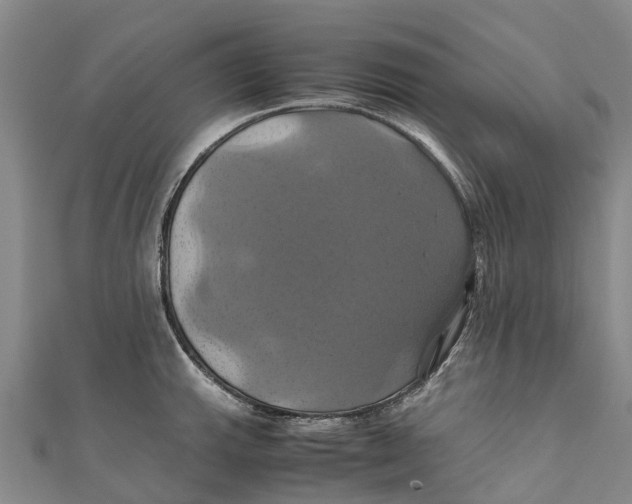X0000110991143200907101425